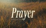 The Grass : Prayer (161429)
