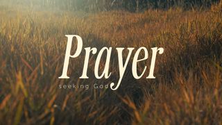 The Grass : Prayer