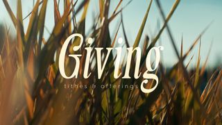 The Grass : Giving