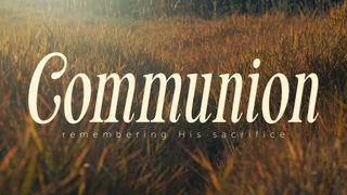 The Grass : Communion