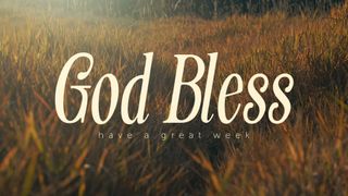 The Grass : God Bless