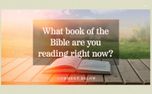 What Book of the Bible (161518)