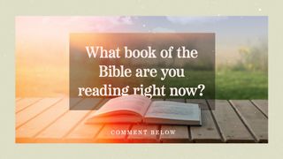 What Book of the Bible