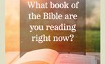 What Book of the Bible (161523)