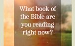 What Book of the Bible (161524)