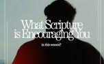 What Scripture Reminds You (161529)