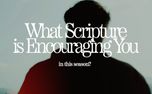 What Scripture Reminds You (161530)