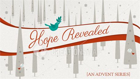 Hope Revealed (17389)