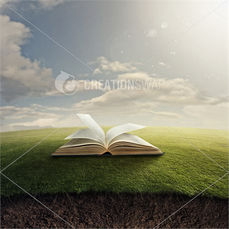An open Bible on grassy field (18673)