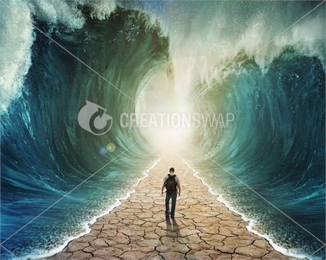 Parting the sea (18683)