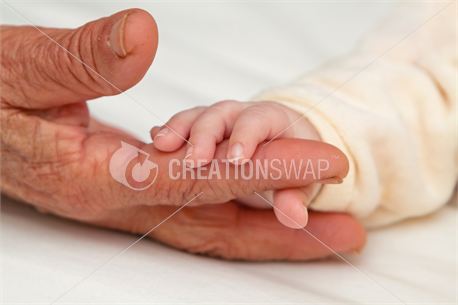 Holding Great Grandma's Finger (19388)