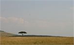IMG_6302 (2478)