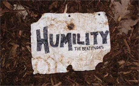 Humility Series (2619)