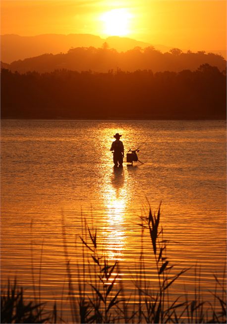 fisherman at sunset (24545)