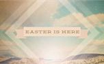Easter Desert (24854)