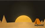 in[tents] (24863)