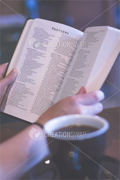 Hands Holding Bible (24871)