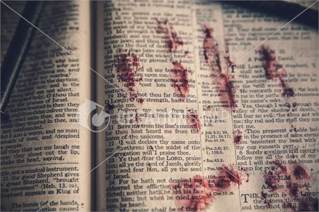 Bloody Bible (25094)