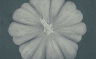 Top of pumpkin black and white