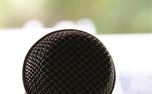 Microphone (25491)