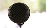 Microphone (25492)