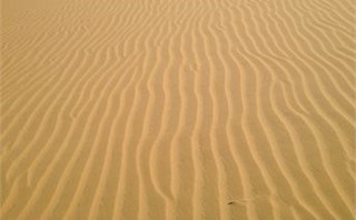 Coro's Medanos