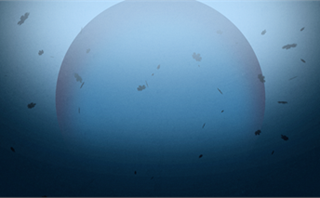 Blue Fall Worship