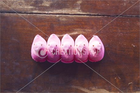 Pink Peeps (29049)