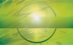 Palm Sunday  (29108)