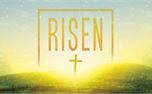 Risen (29122)