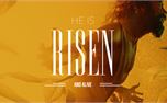 He is Risen (29408)