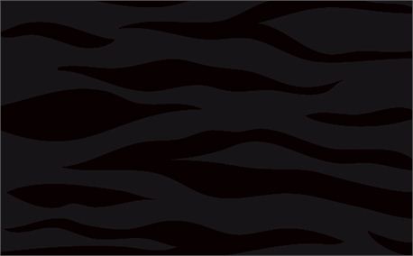 zebra pattern (3573)