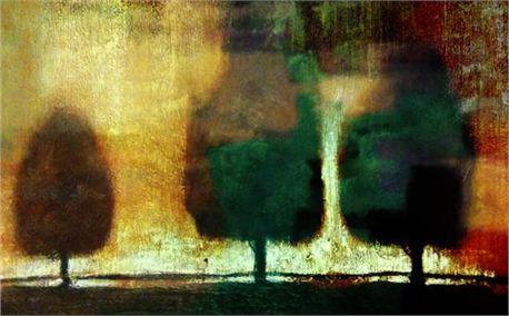 color trees (3820)