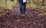 Autumn 2 (32322)