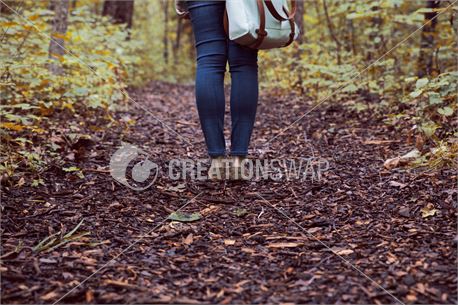 Autumn 2 (32322)
