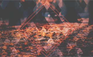 Autumn Geometry: Loop 1