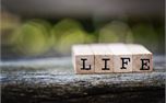 Life (35471)
