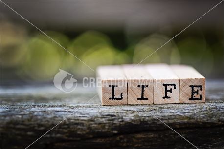 Life (35471)