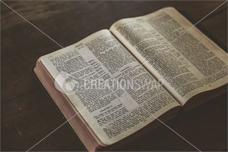 Rustic Bible Study 1 (36560)