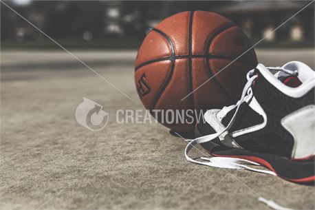 Summer Sports 6 (36574)