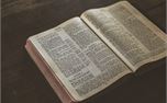 Rustic Bible Study 1 (36646)