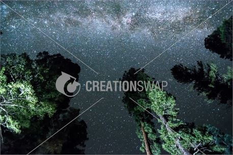 The Heavens (38614)