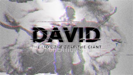 David (39897)