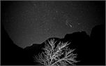 BNW14 (4169)