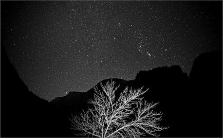 BNW14 (4169)