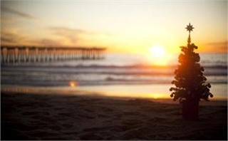 Beach Christmas Tree