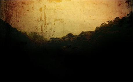 deep forest (4531)