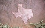Texas Texture (4896)