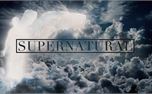 Supernatural (40384)