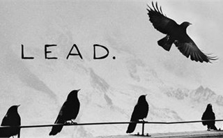 LEAD.